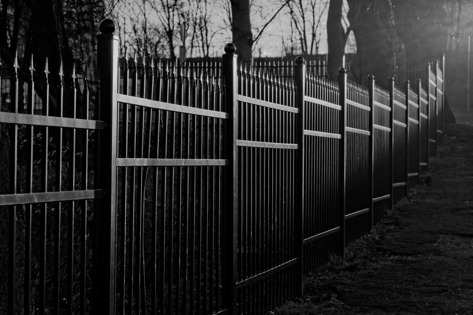 Canon EF 50mm F1.8 II sample photo. Fence, light, sun photography