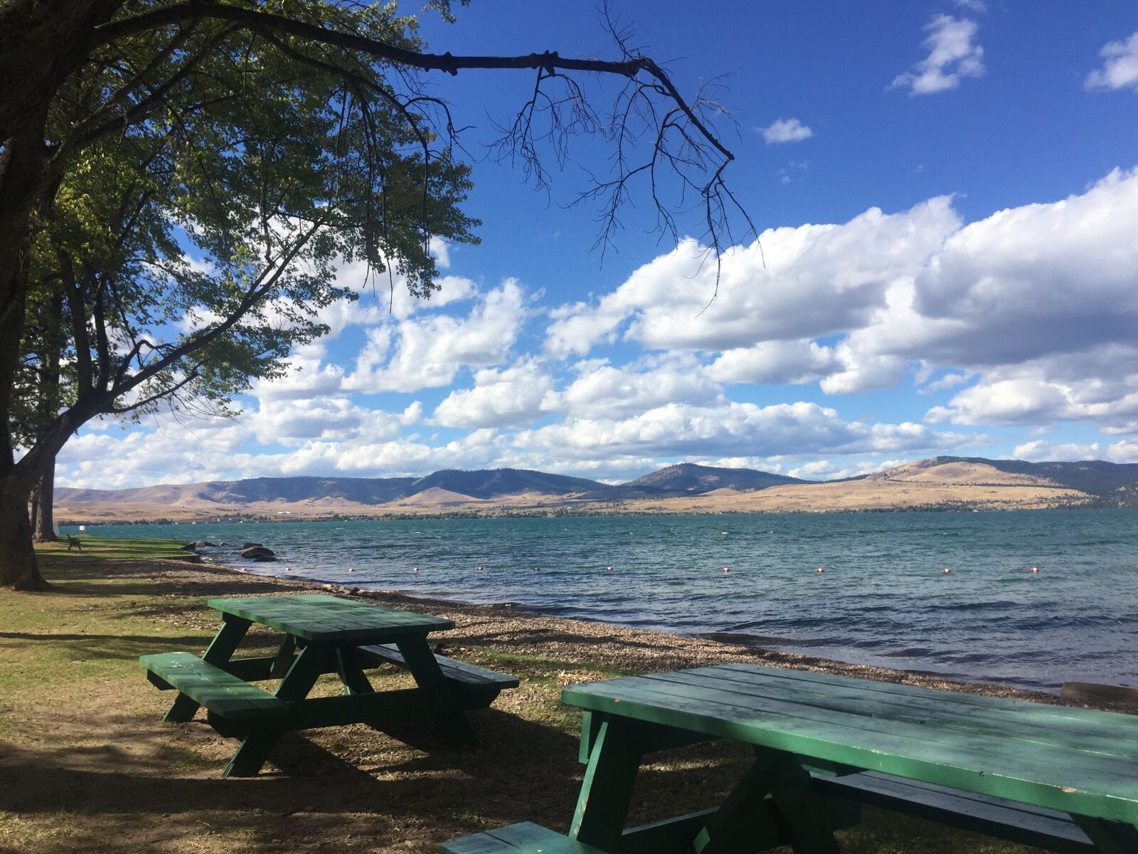 Apple iPhone 6 sample photo. Flathead lake, summer, picnic photography