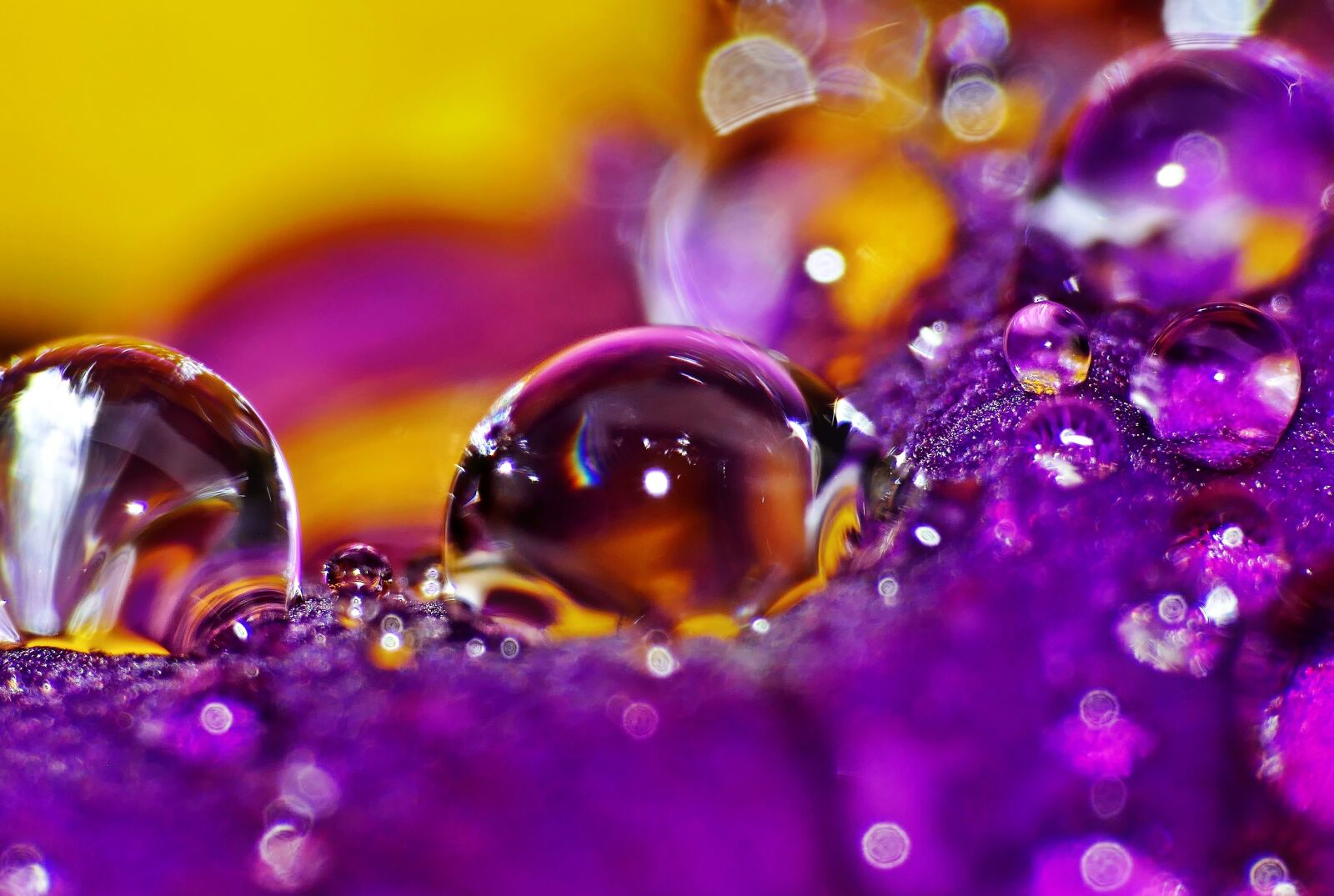 Panasonic Lumix DMC-FZ1000 sample photo. Drop of water, lensflares photography
