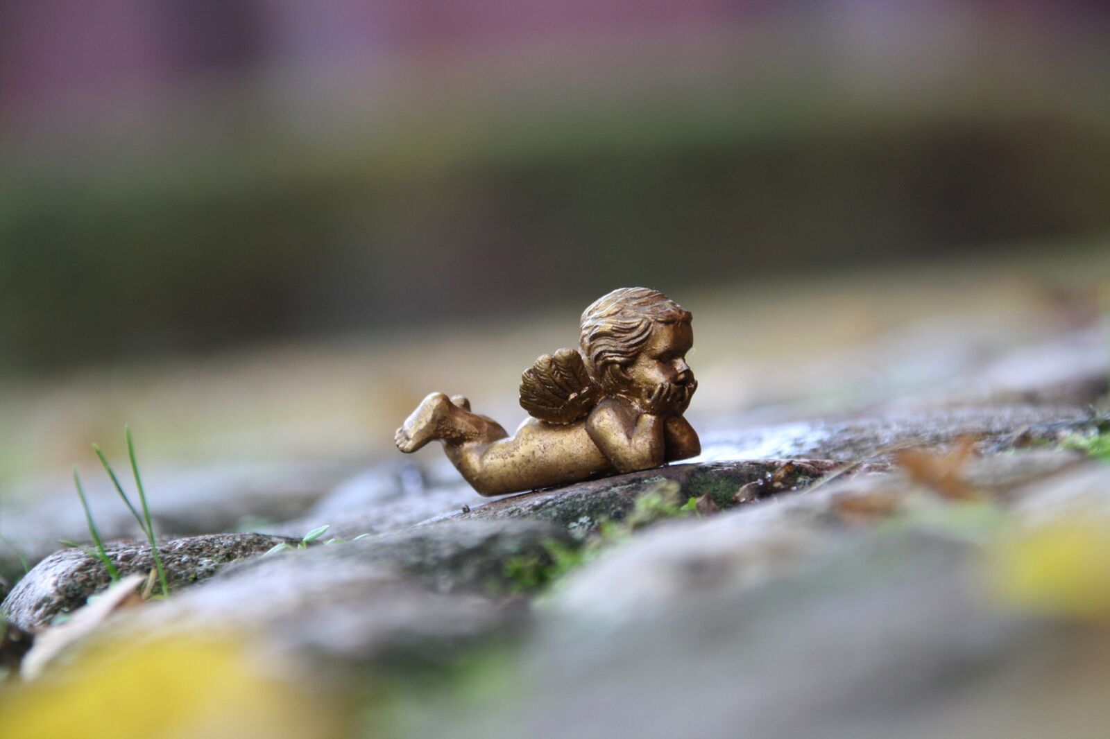 Canon EOS 1000D (EOS Digital Rebel XS / EOS Kiss F) sample photo. Angel, thoughtful, figure photography