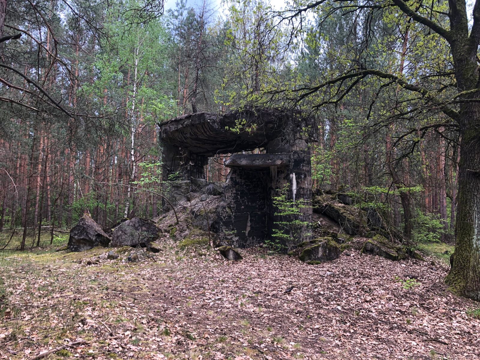 Apple iPhone 8 sample photo. Bunker, forest, hiding place photography