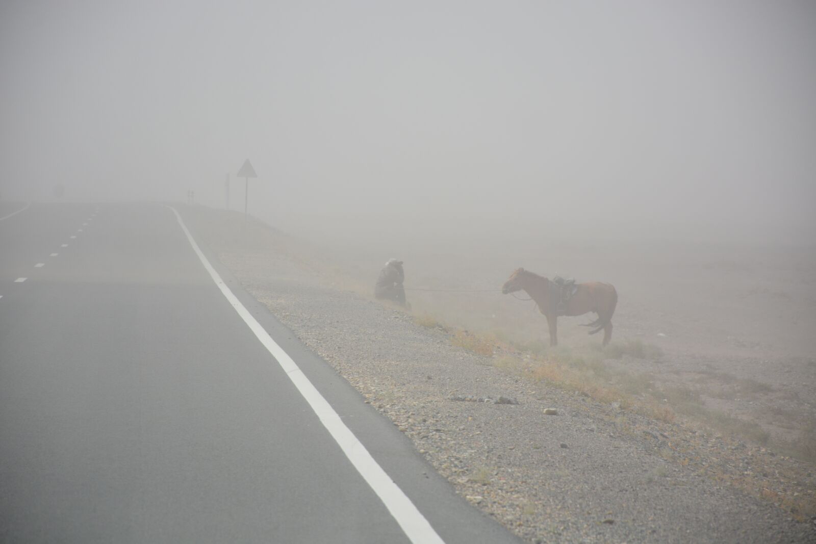 Nikon D7100 sample photo. Sand storm, man, horse photography