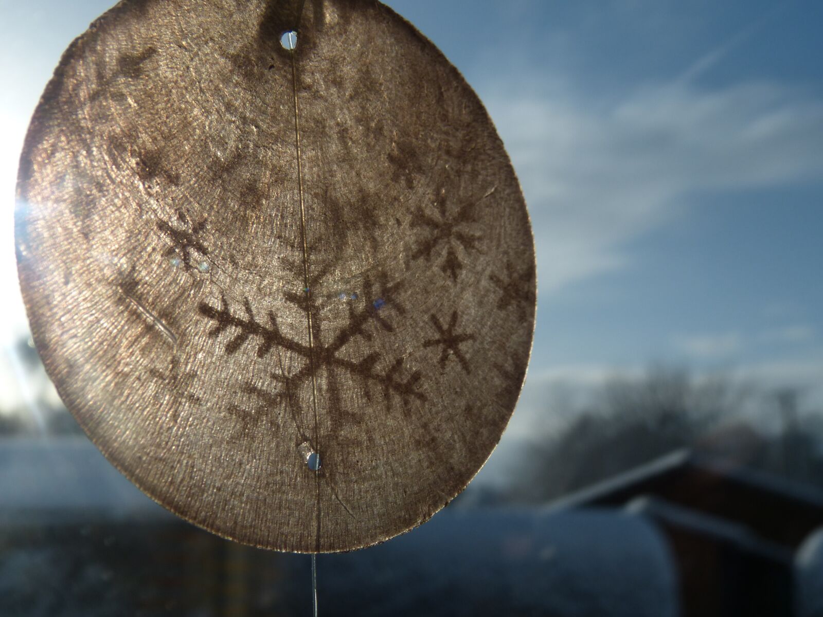 Panasonic Lumix DMC-FZ150 sample photo. Nature, background, winter photography