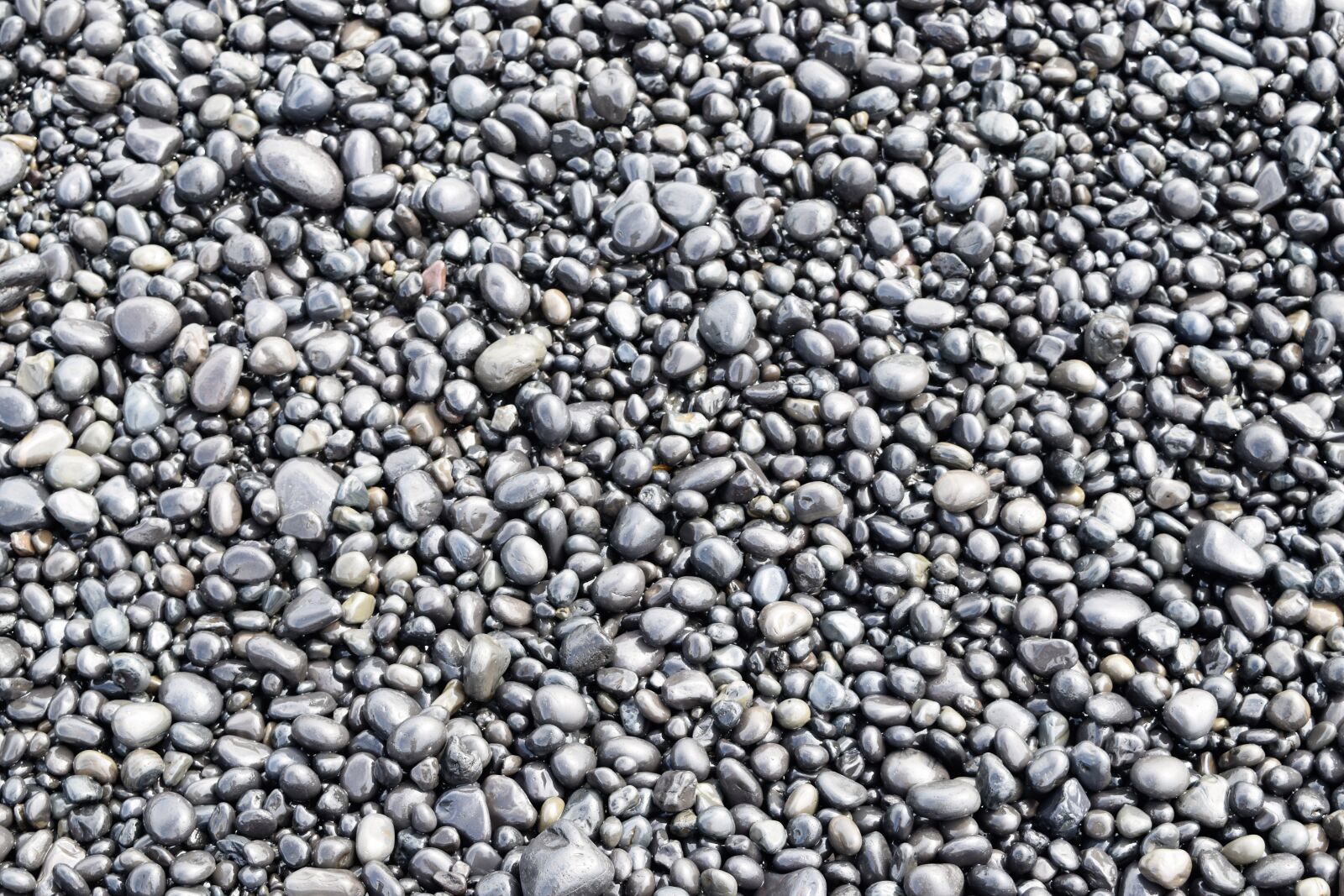 Nikon D3300 sample photo. Pebbles, rocks, wet photography