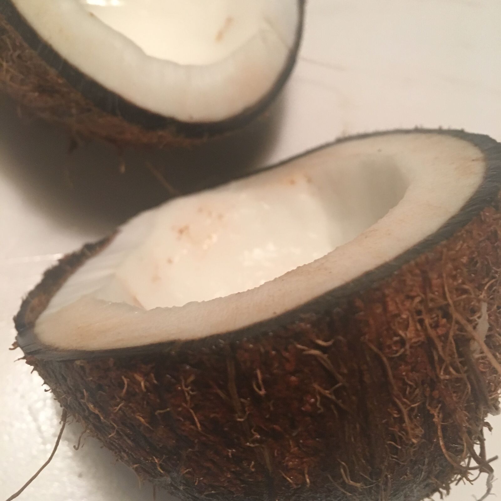 Apple iPhone 6s sample photo. Coconut, coconuts photography