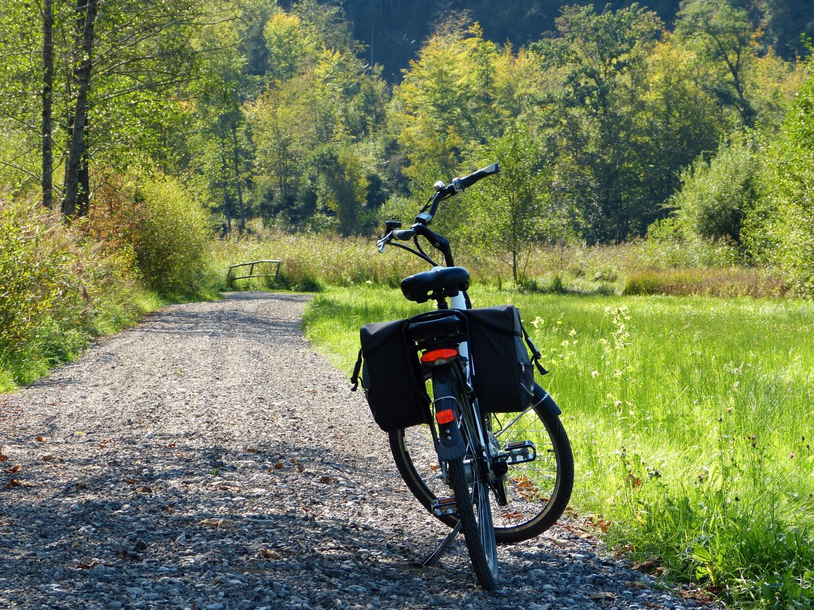 Panasonic Lumix DMC-FZ150 sample photo. Wheel, ebike, away photography