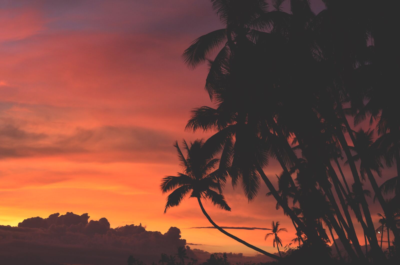 Nikon D5100 sample photo. Clouds, dawn, dusk photography
