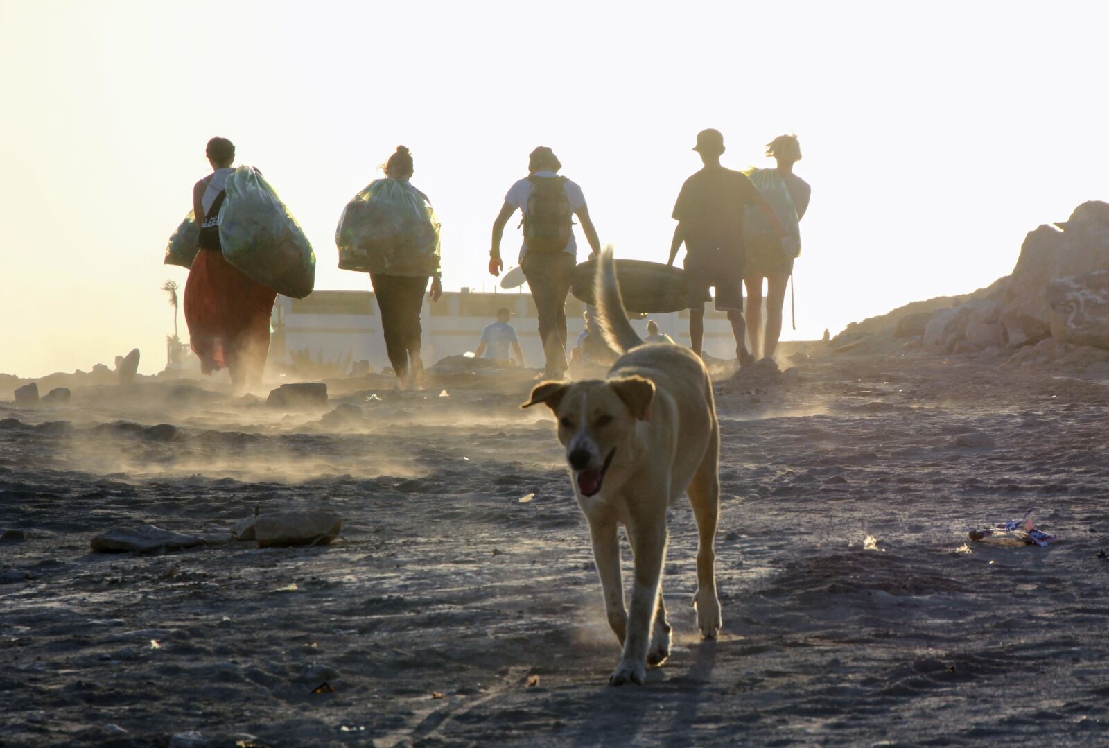 Canon EOS 60D sample photo. Beachcleaning, garbage collector, garbage photography