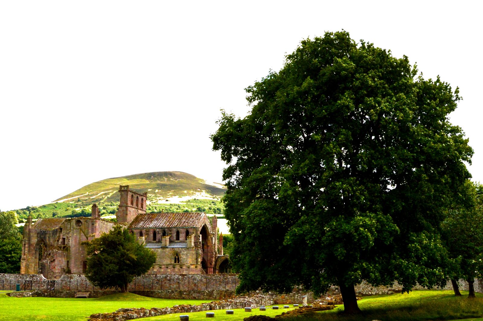 Nikon D3200 sample photo. Cathedral, ruin, scotland photography