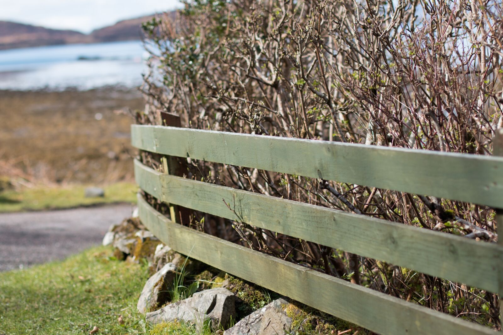 Canon EOS 70D + Canon EF 50mm F1.4 USM sample photo. Nature, scotland, rural photography