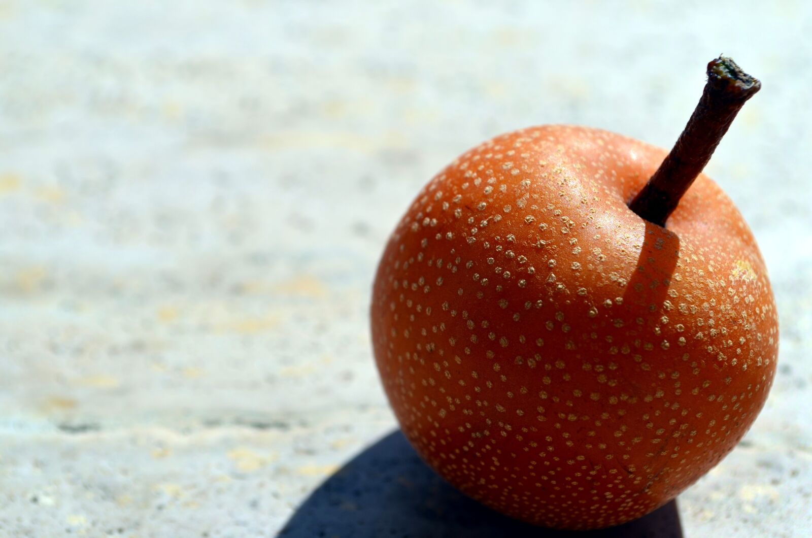 Nikon D5100 sample photo. Pera, pear-apple, nashi photography