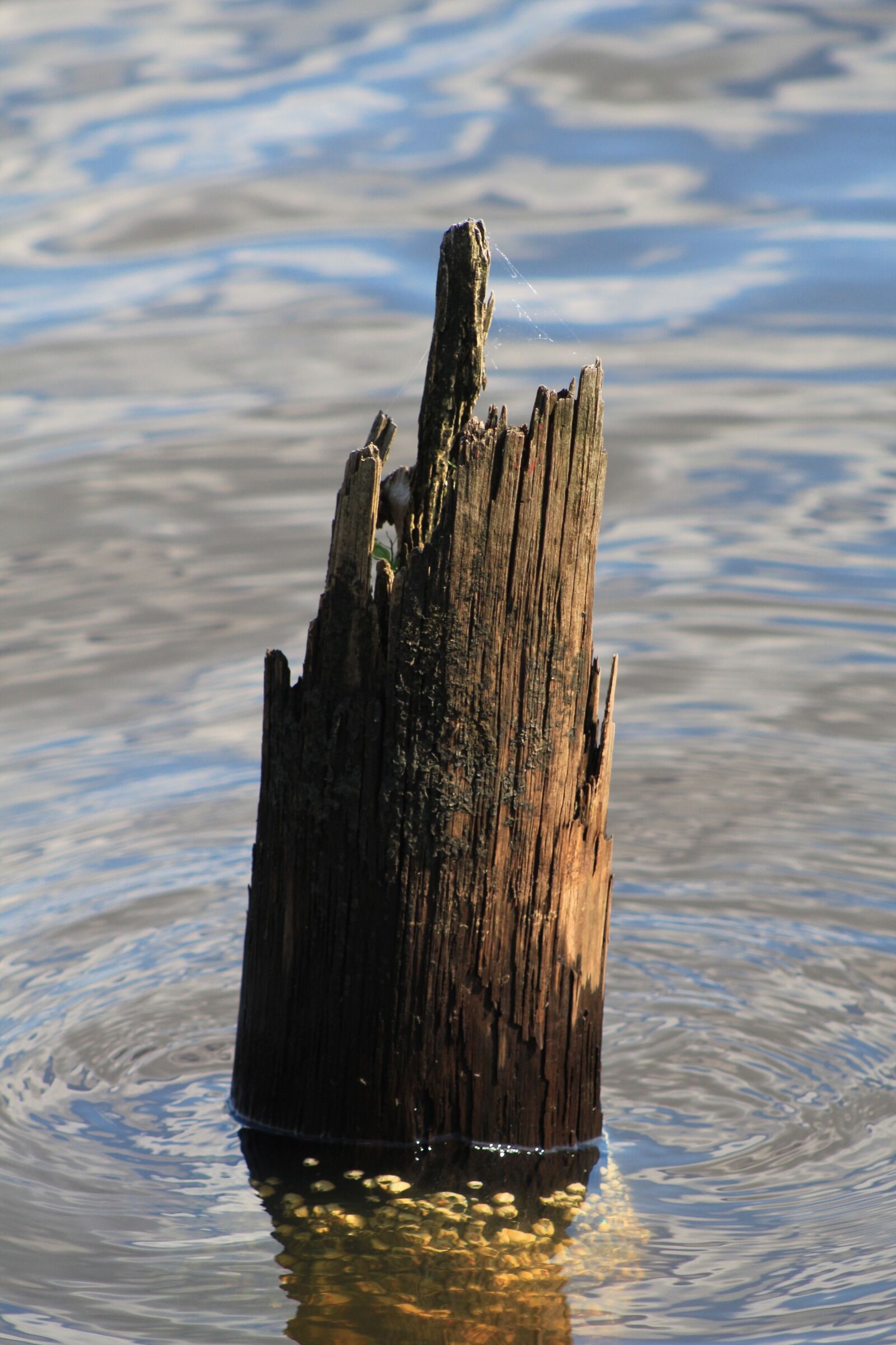 Canon EOS 650D (EOS Rebel T4i / EOS Kiss X6i) sample photo. Water, outdoors, sea photography