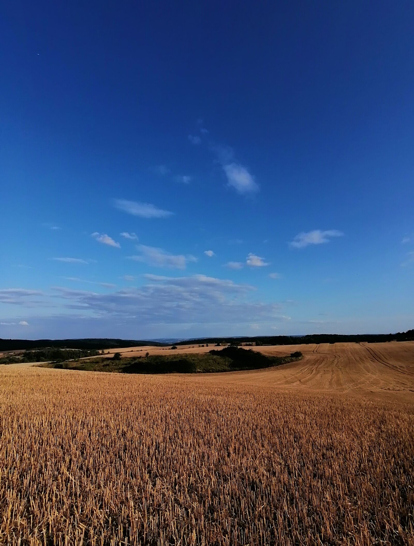 HUAWEI P30 LITE sample photo. Stubble, harvested field, harvest photography