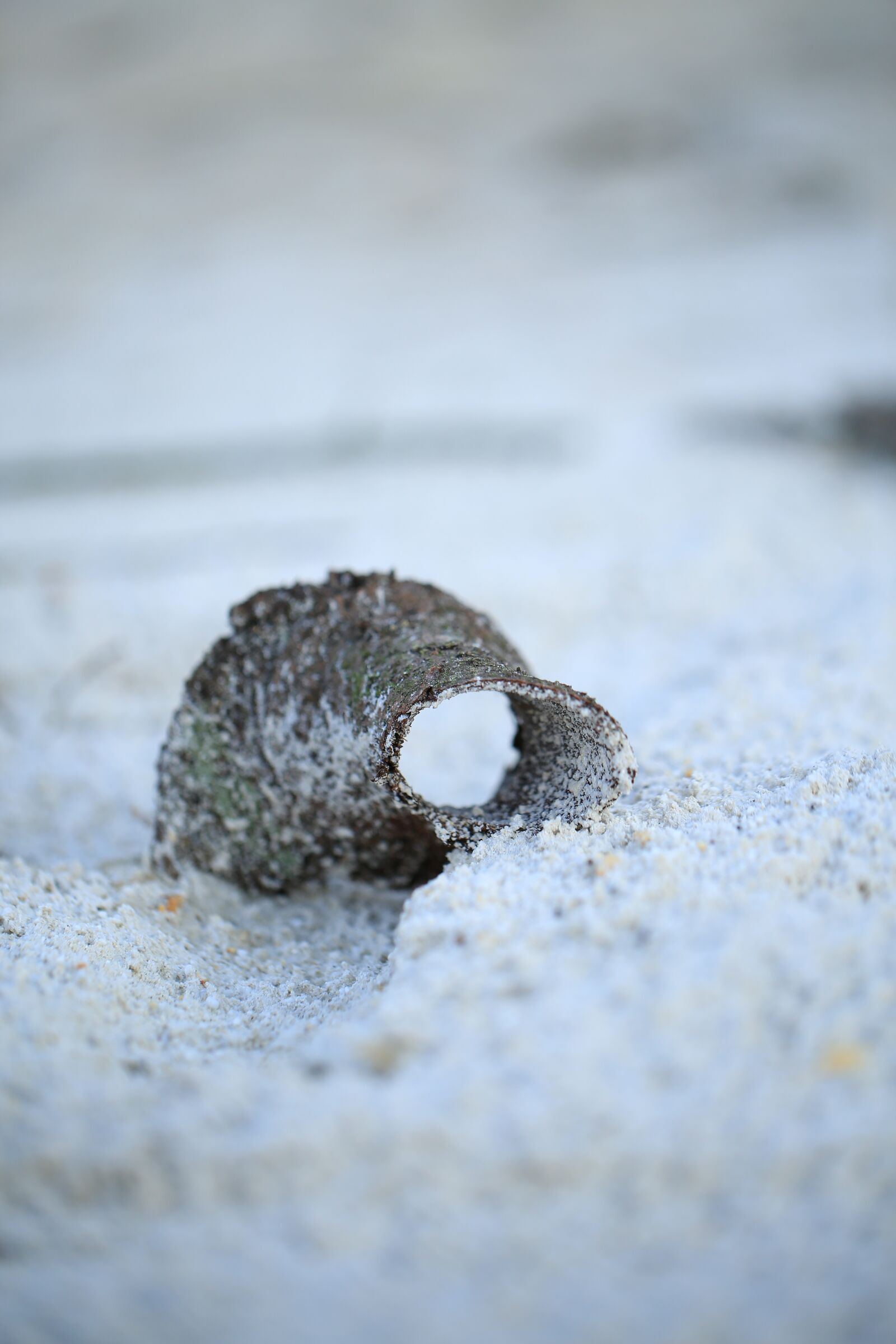 Canon EF 100mm F2.8L Macro IS USM sample photo. Sand, stones, nature photography