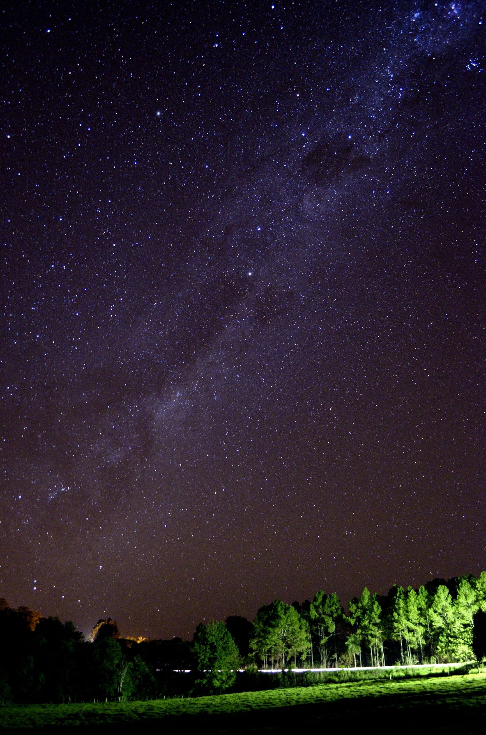 Nikon D5100 sample photo