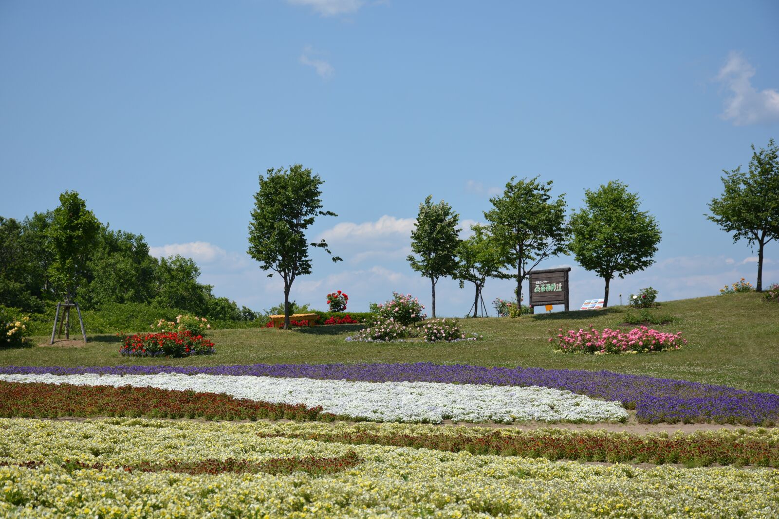 Nikon D7100 sample photo. Garden, natural photography