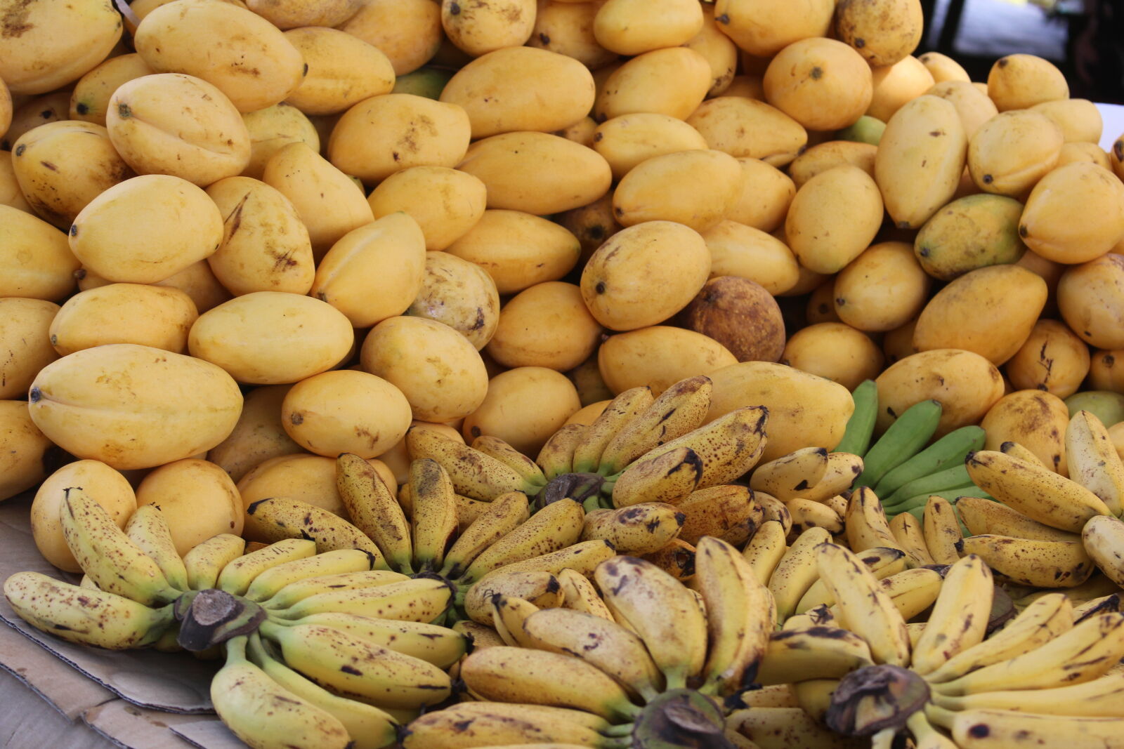 Canon EOS 700D (EOS Rebel T5i / EOS Kiss X7i) sample photo. Fruit, all, the, season photography