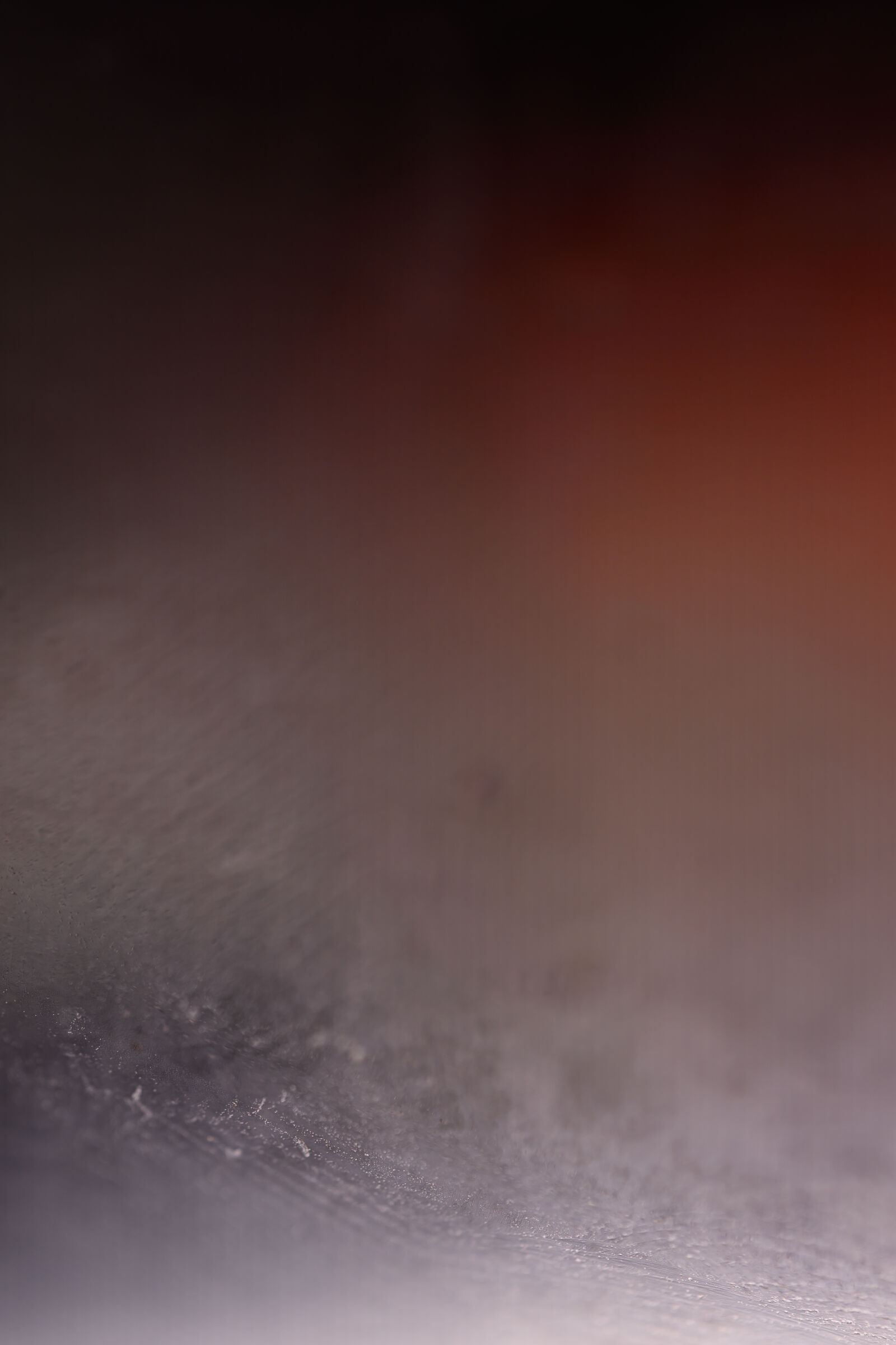 Tamron 90mm F2.8 Di III Macro VXD sample photo. Surface details photography