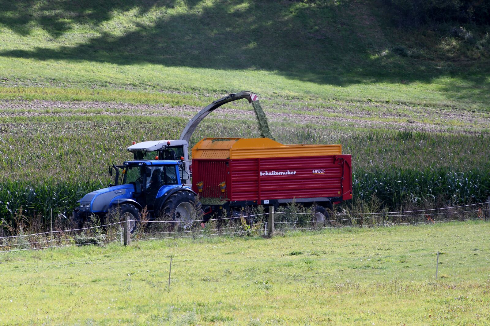 Nikon D500 sample photo. Harvest, sweet corn harvesting photography