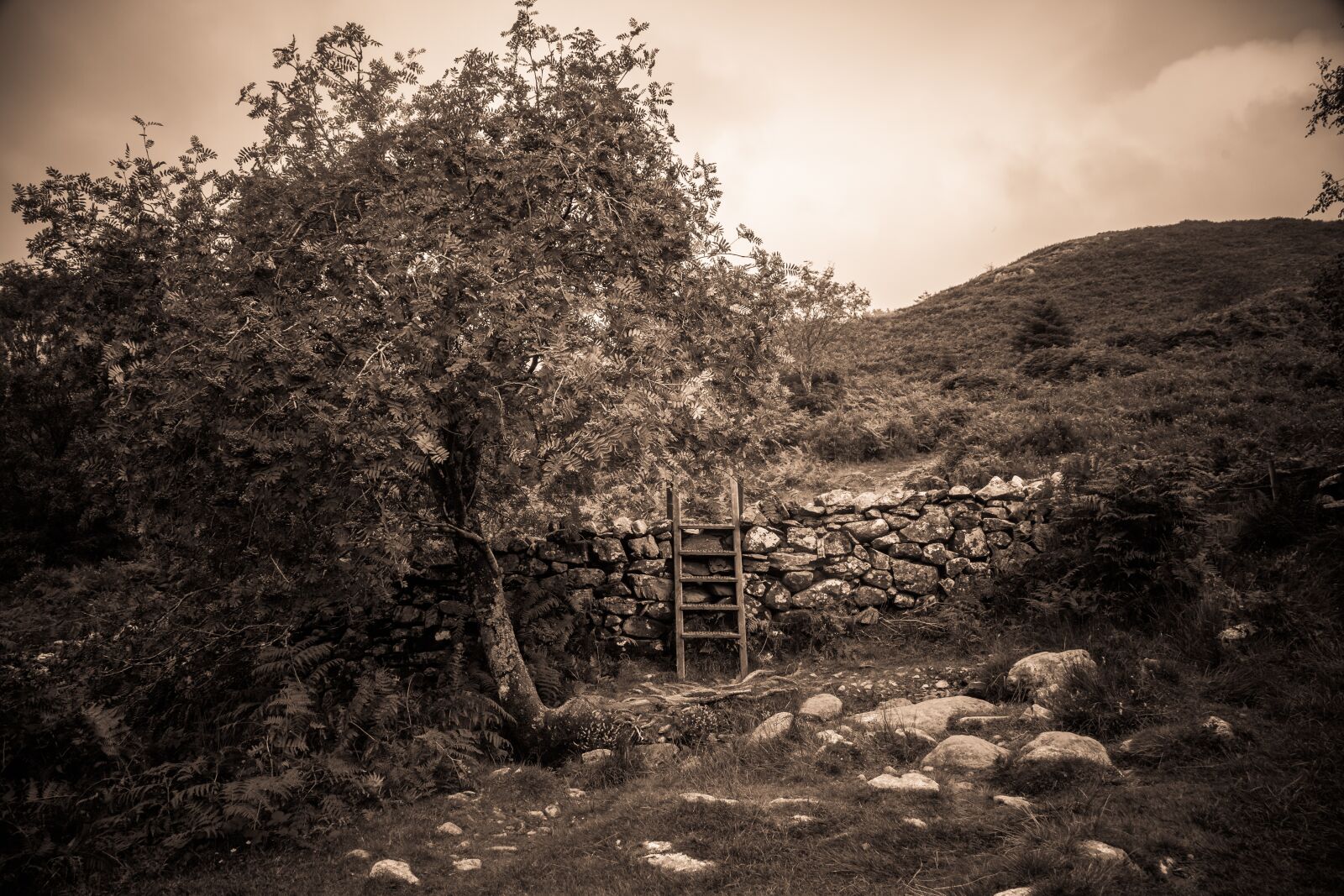 Canon EF 24-105mm F4L IS USM sample photo. Wales, snowdonia, hiking photography