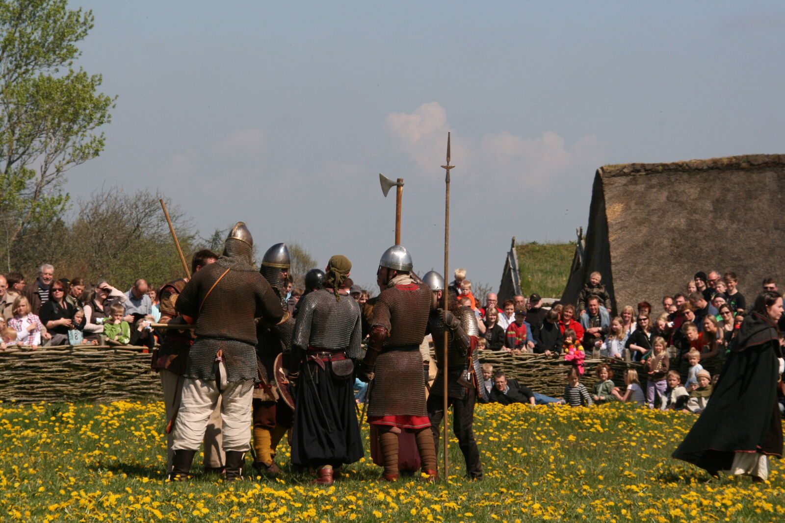 Sigma 18-200mm f/3.5-6.3 DC OS sample photo. Vikings photography