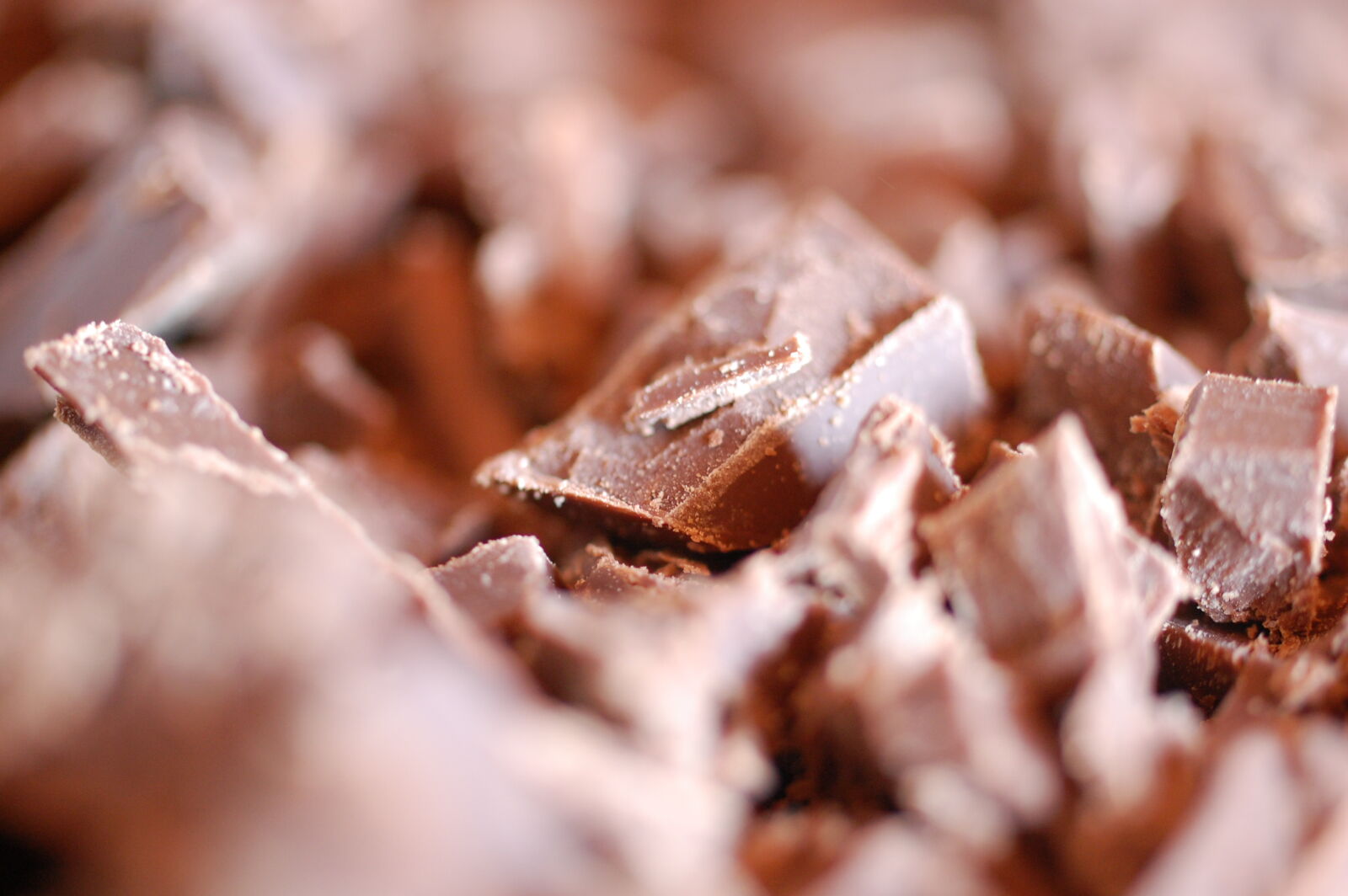 Nikon D40 sample photo. Blur, brown, choco, chocolate photography