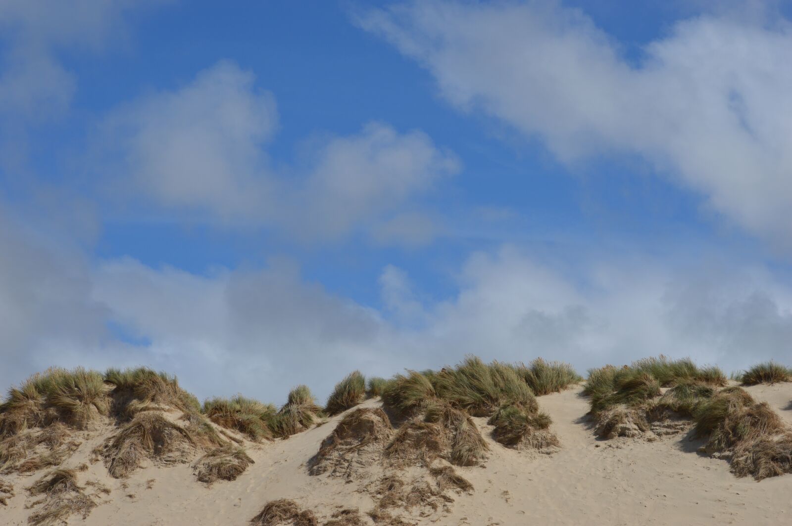 Nikon D3200 sample photo. Dunes, blue sky, sand photography