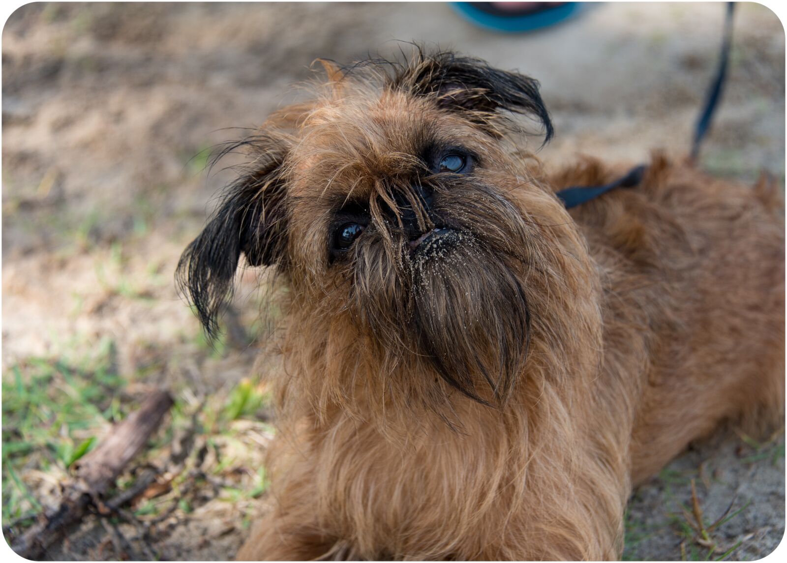 Nikon D750 sample photo. Beauty, expression, look photography