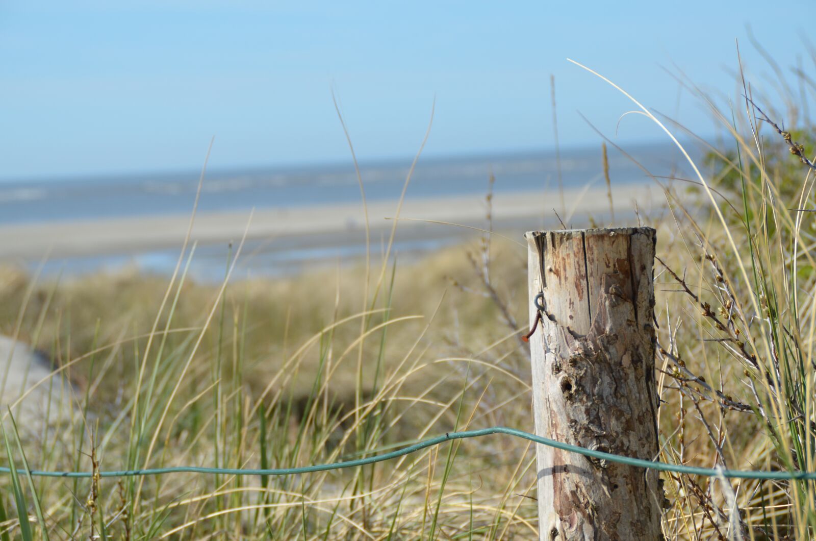 Nikon D5100 sample photo. Pile, dune, sand photography