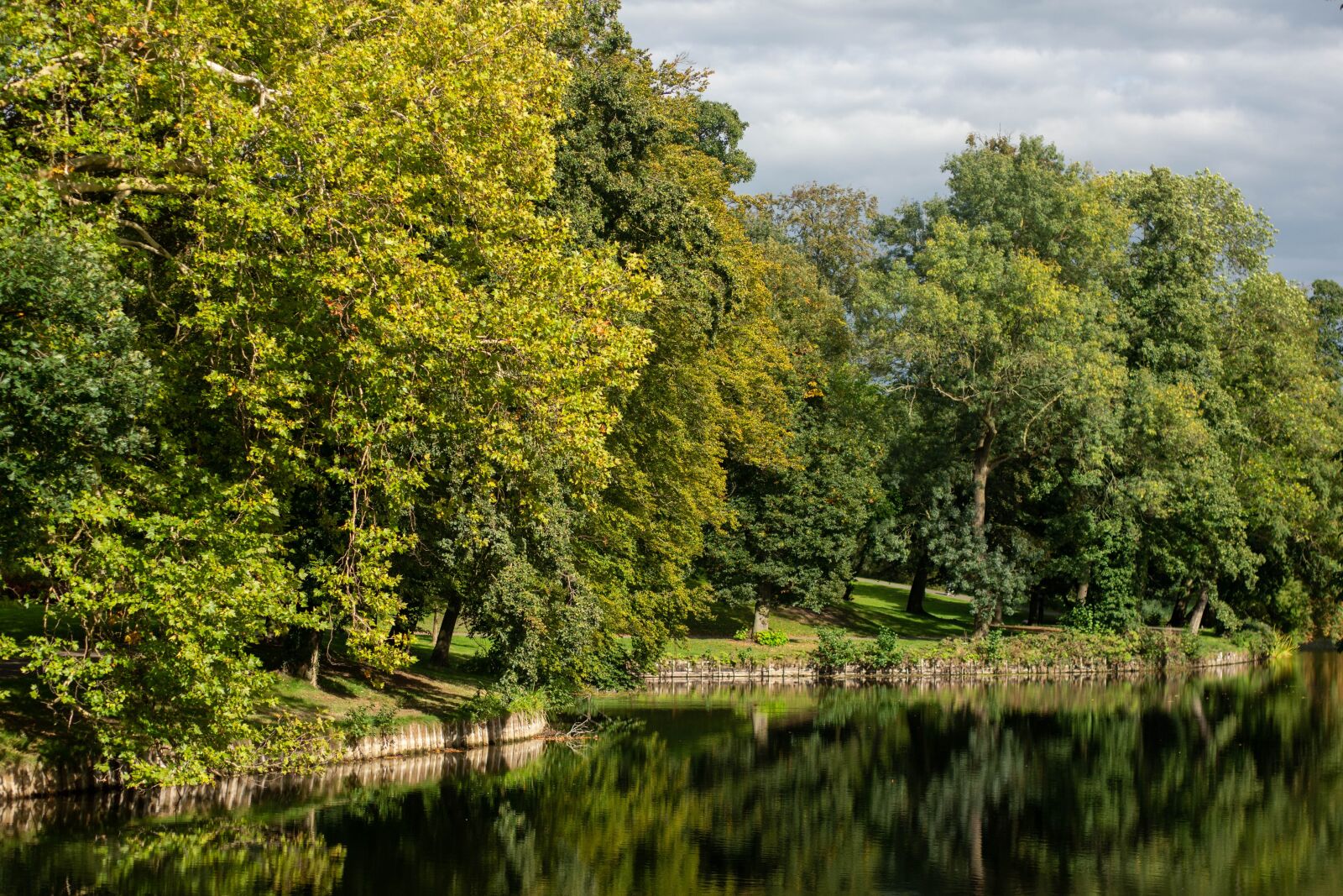 Nikon D7200 sample photo. City, park, green photography