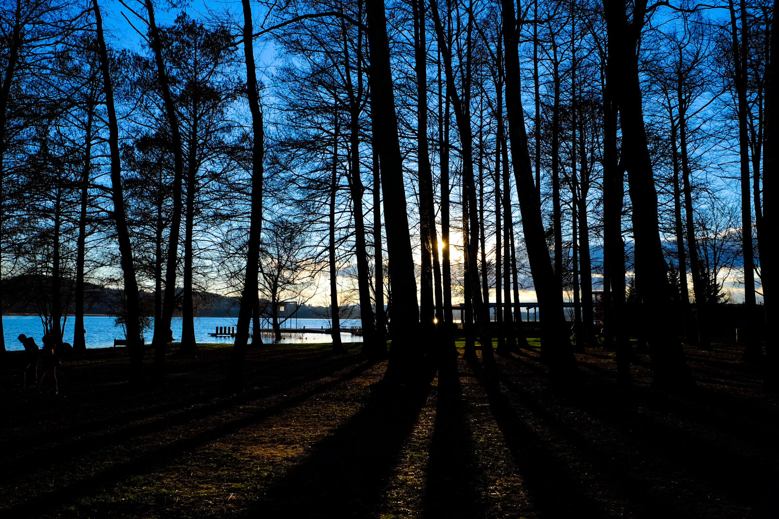 Fujifilm X-E2 sample photo. Branch, countryside, dawn, daylight photography