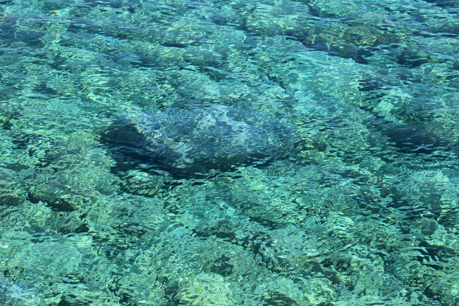 Nikon D3300 sample photo. Water, clear, transparent photography