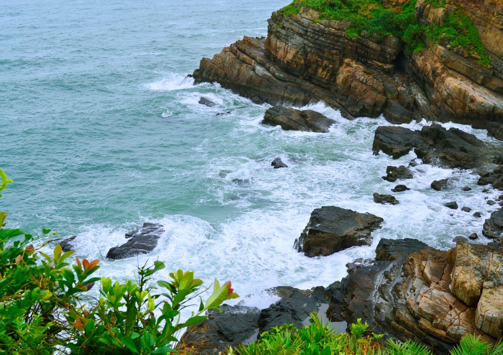 Nikon D3100 sample photo. Co, the sea, knife photography