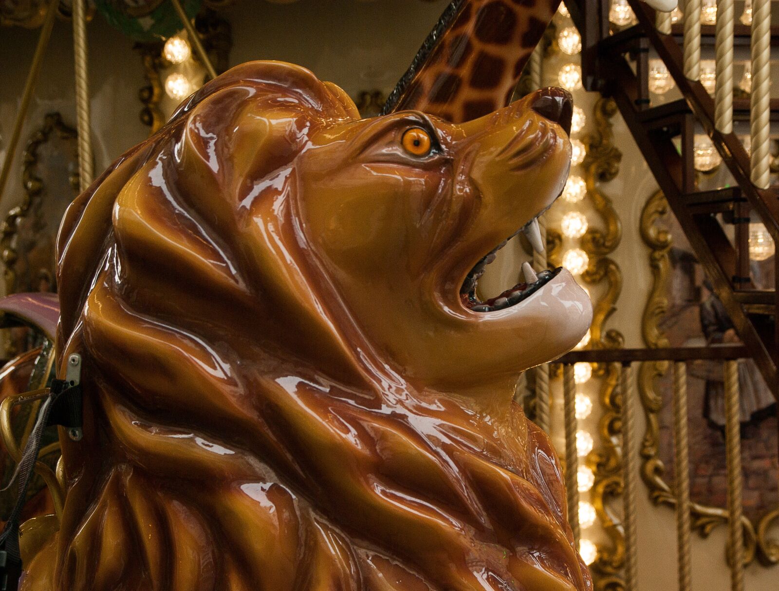 Pentax K10D sample photo. Manege, carousel, lion photography
