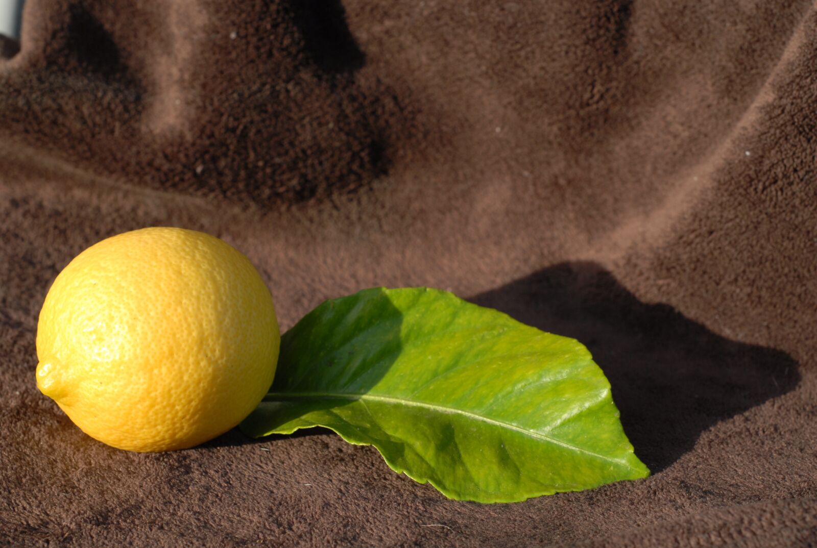 Nikon D200 sample photo. Lemon, yellow, citrus photography
