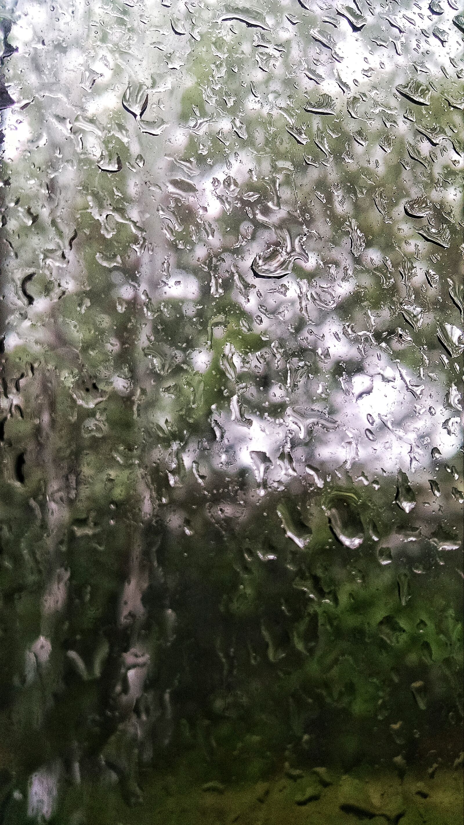 Motorola Moto X (1st Gen) sample photo. Drops, rain, storm, summer photography