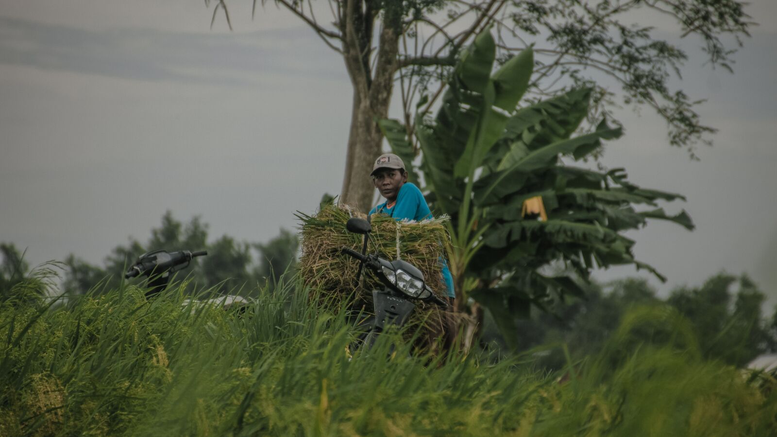 Canon EOS 600D (Rebel EOS T3i / EOS Kiss X5) sample photo. Farm, village, culture photography