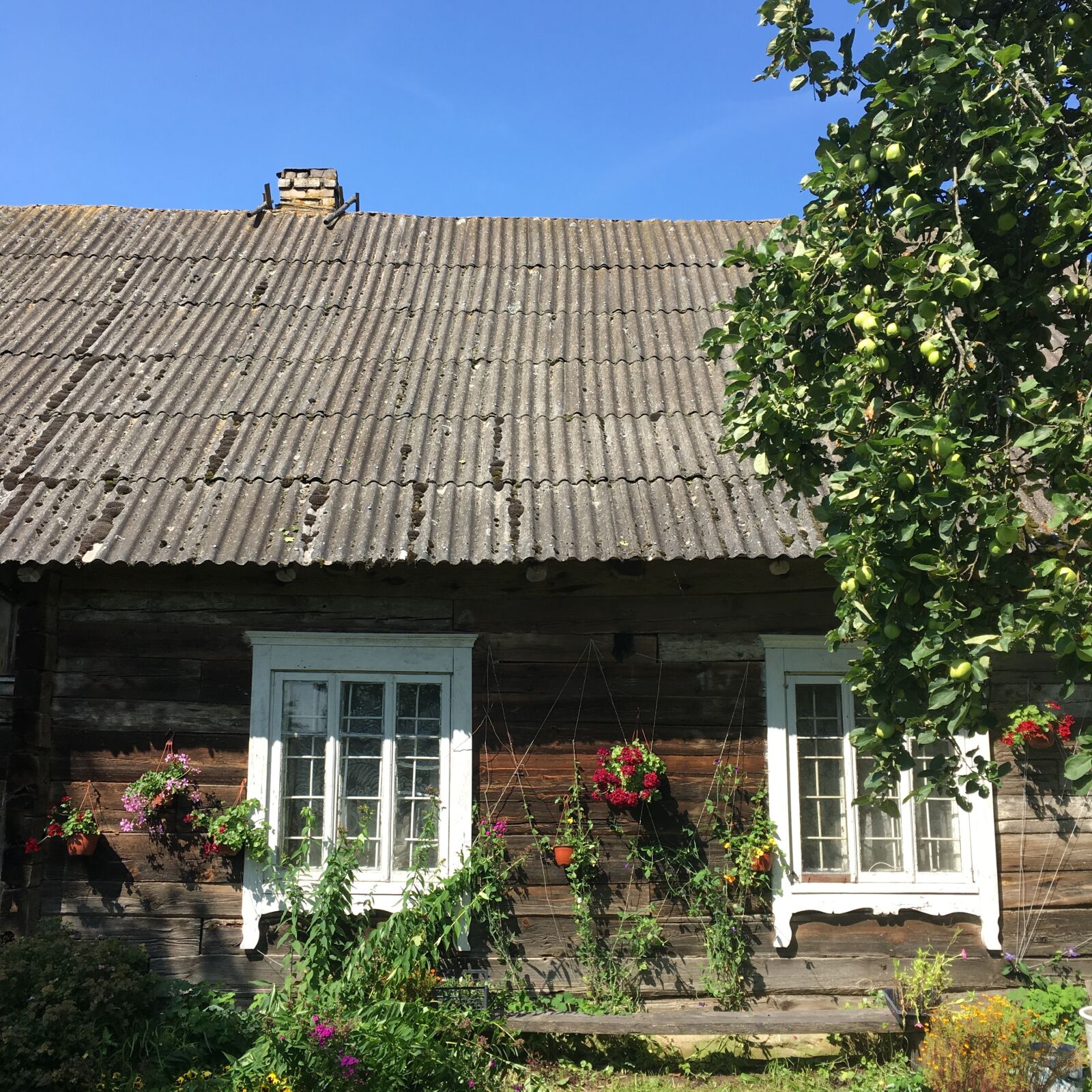 Apple iPhone 6s sample photo. House, rural, old photography