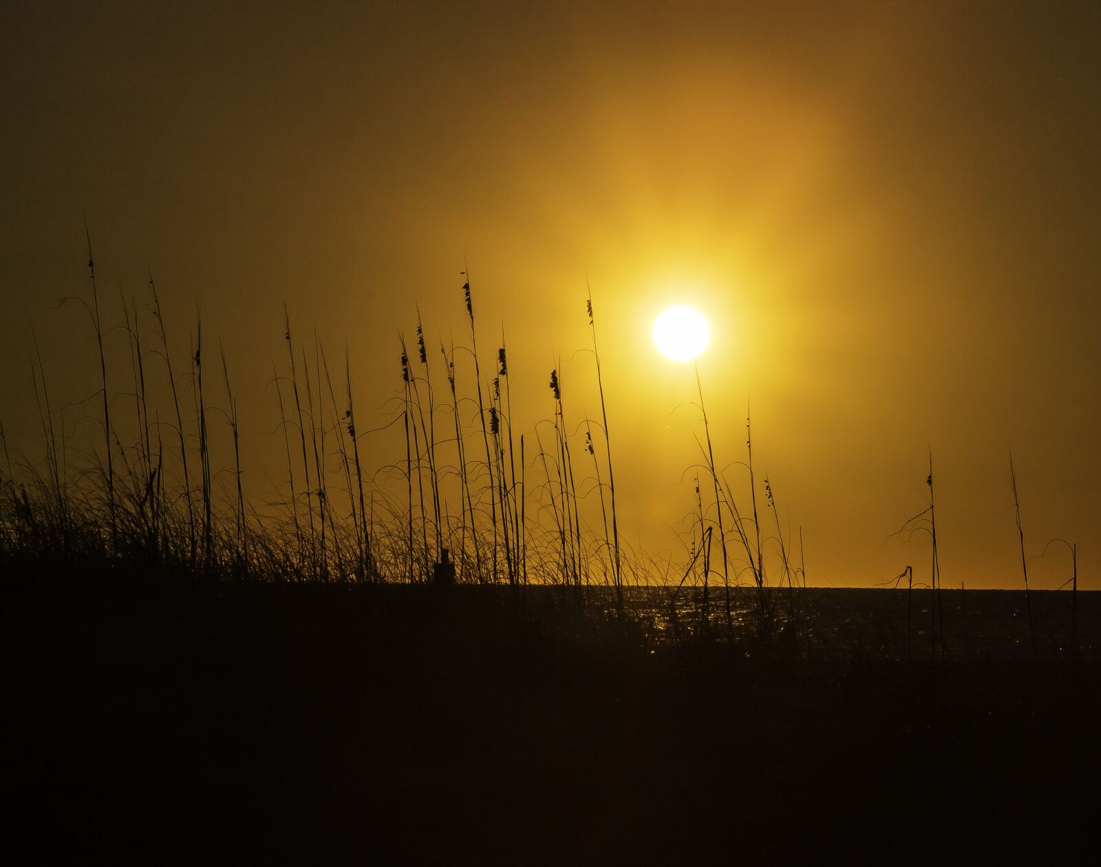 Canon EOS 1100D (EOS Rebel T3 / EOS Kiss X50) sample photo. Sunset, sun, dawn photography