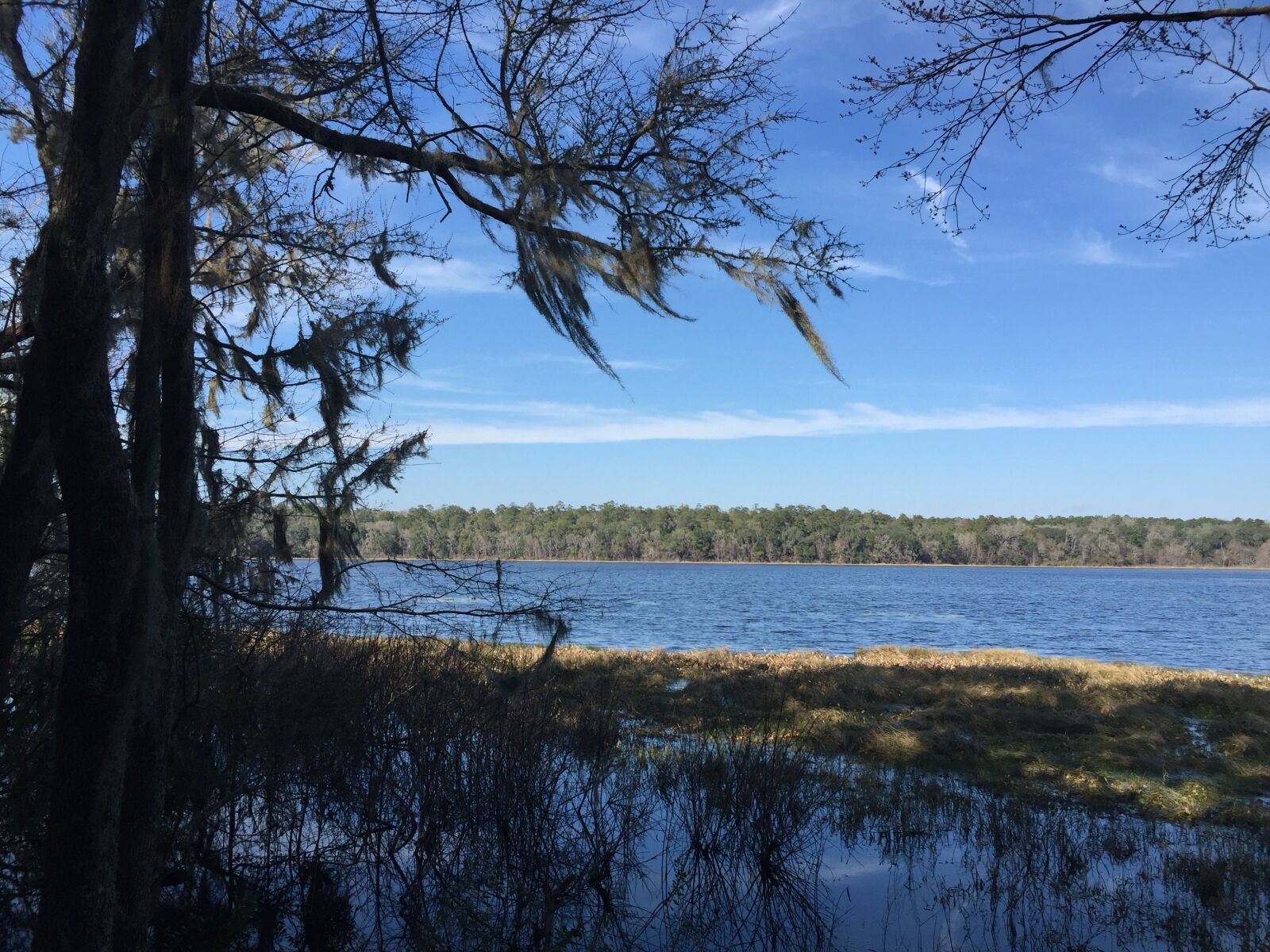 Apple iPhone 6 sample photo. Trail, park, hike photography