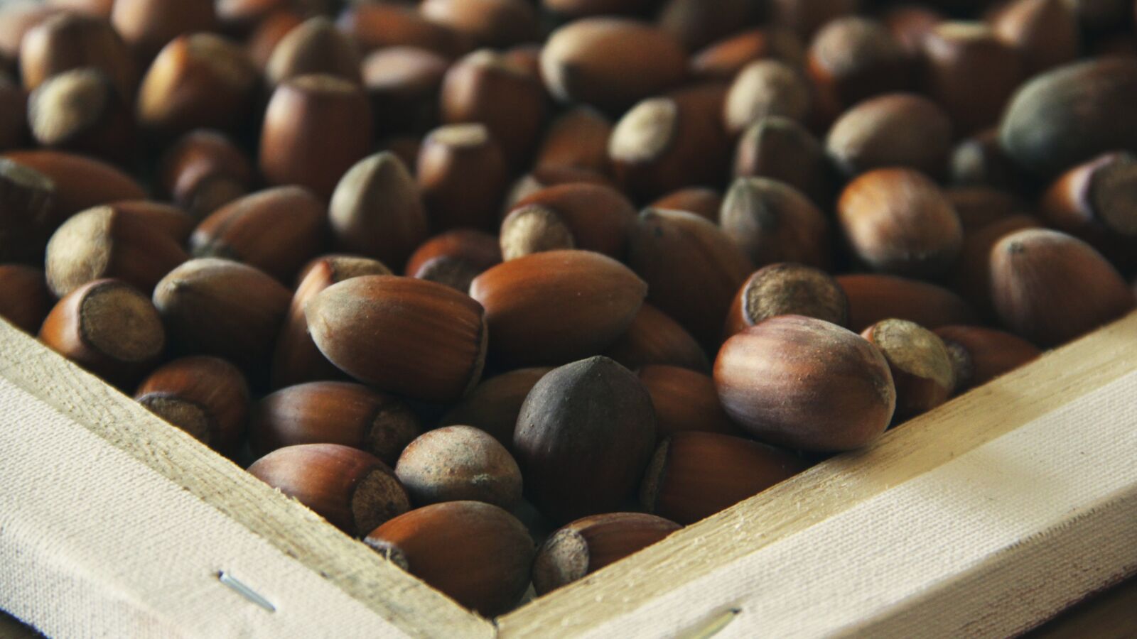 Canon EOS 550D (EOS Rebel T2i / EOS Kiss X4) sample photo. Hazel, nuts, food photography