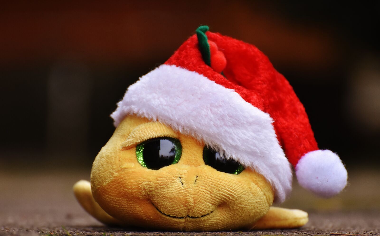 Nikon D7200 sample photo. Christmas, turtle, stuffed animal photography