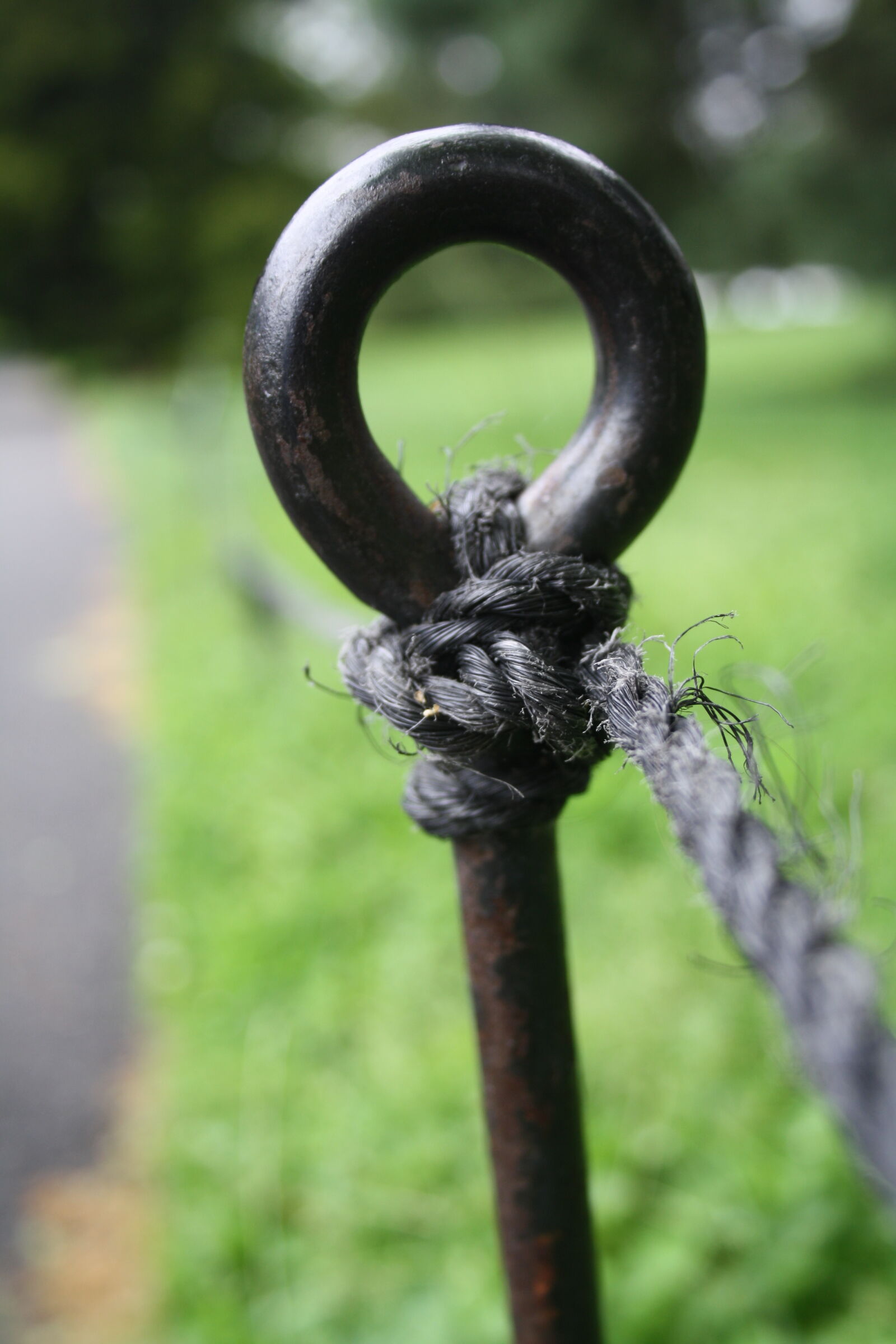 Canon EF-S 18-55mm F3.5-5.6 II sample photo. Rope, rustic photography