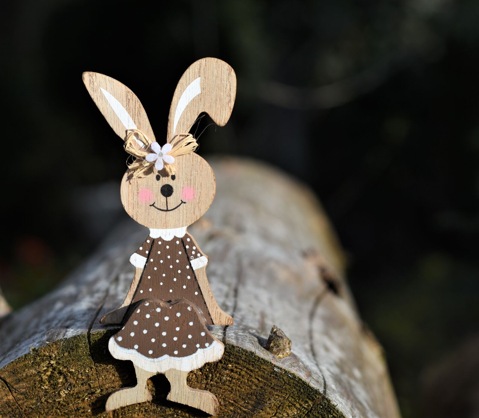 Nikon D7200 sample photo. Figure, hare, toys photography