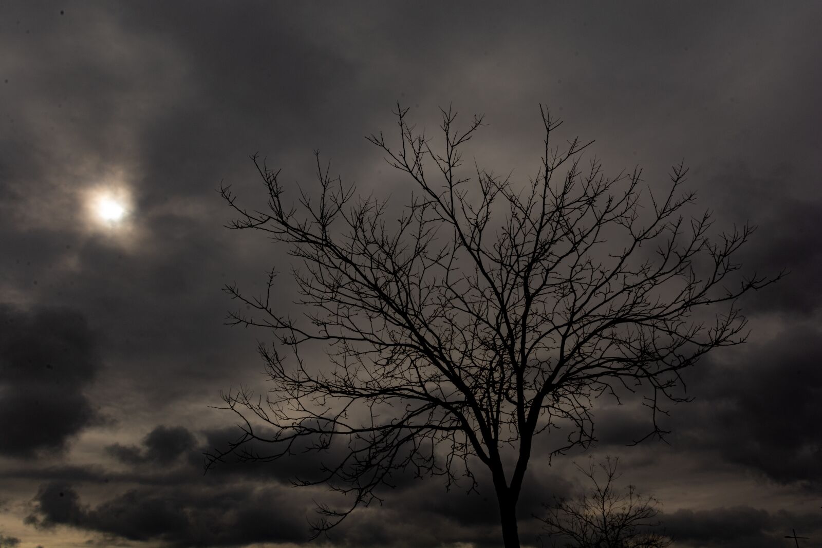Nikon D7100 sample photo. Sky, sun, clouds photography