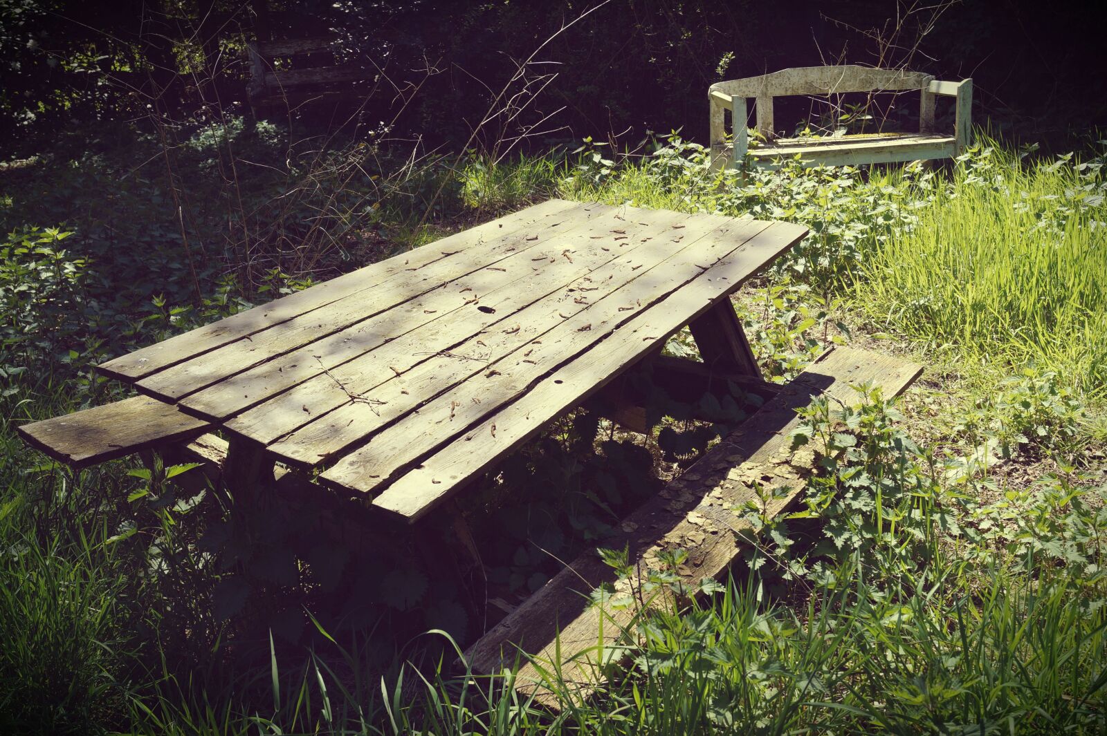 Sony DT 18-55mm F3.5-5.6 SAM II sample photo. Table, wooden table, bank photography