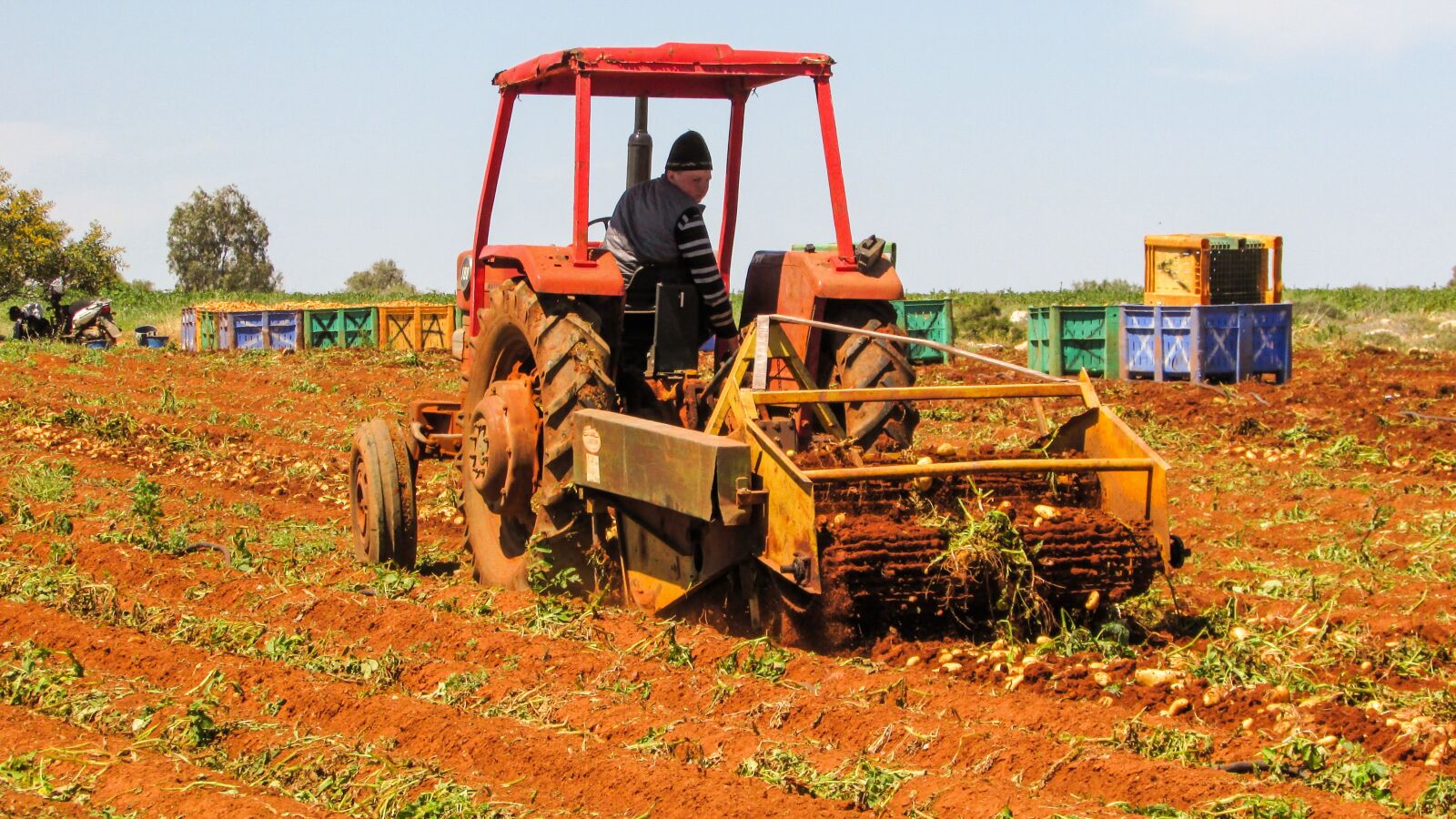Canon PowerShot SX400 IS sample photo. Tractor, working, potato harvest photography