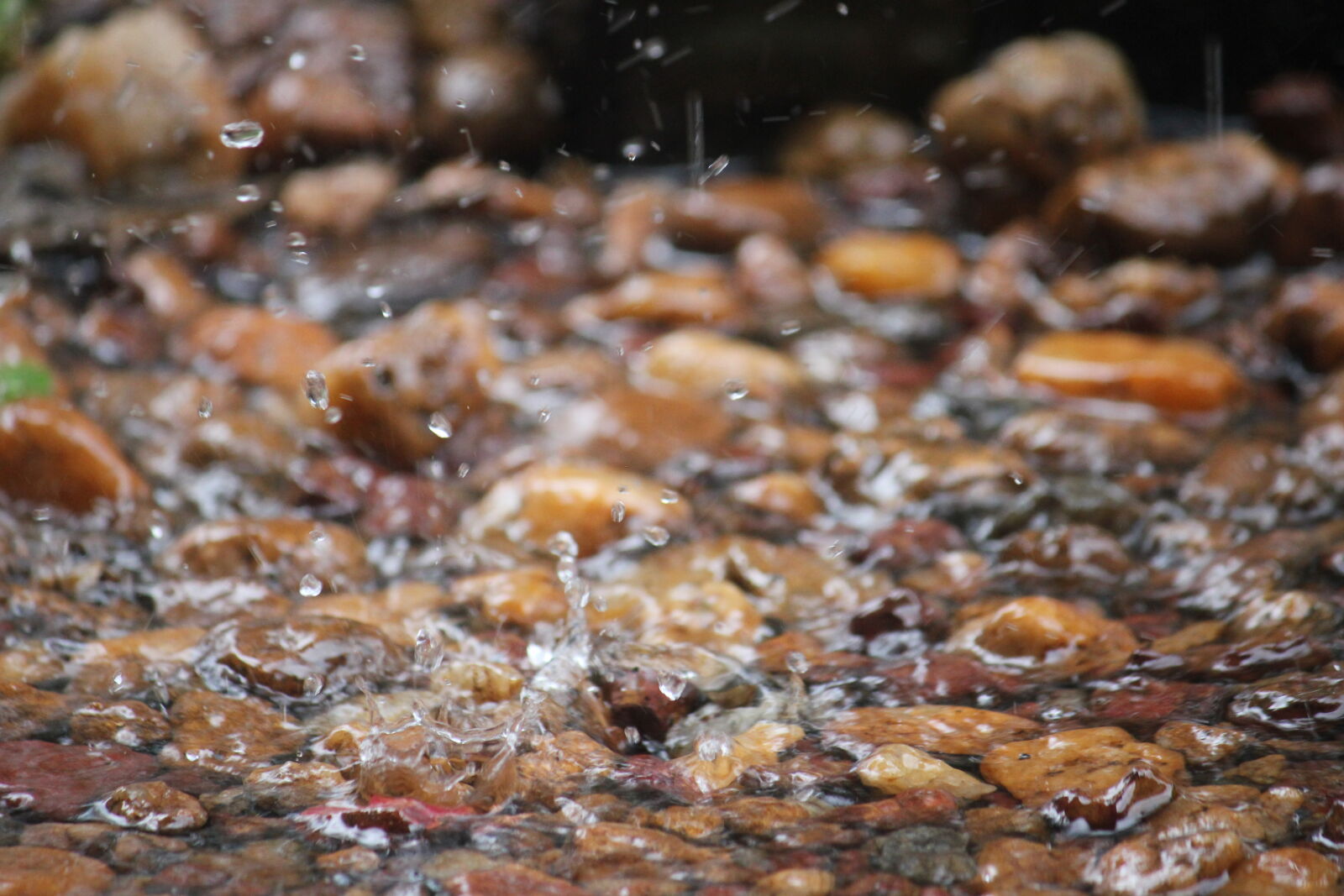 Canon EOS 550D (EOS Rebel T2i / EOS Kiss X4) sample photo. Water, splash, droplets photography