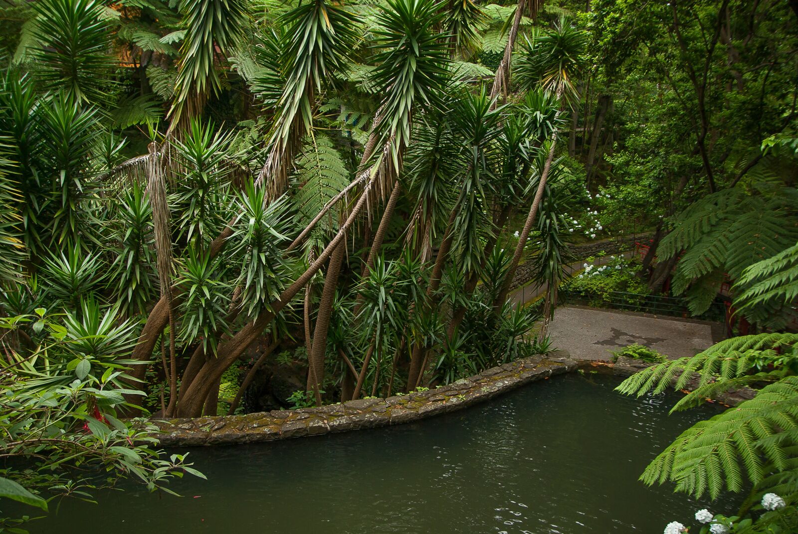 Pentax K10D sample photo. Garden, tropical, exotic photography