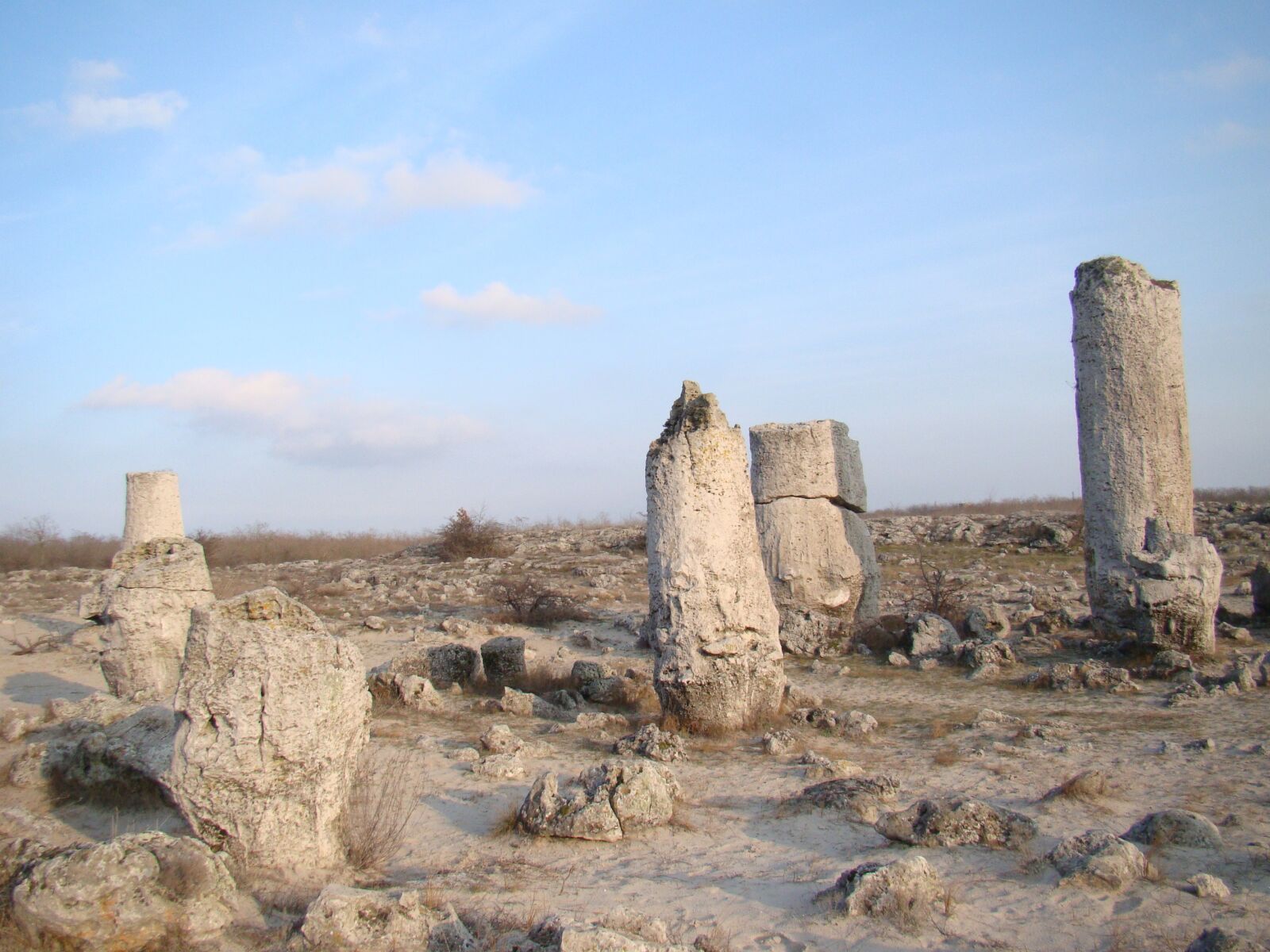 Sony Cyber-shot DSC-H50 sample photo. Petrified forest, stone, rock photography
